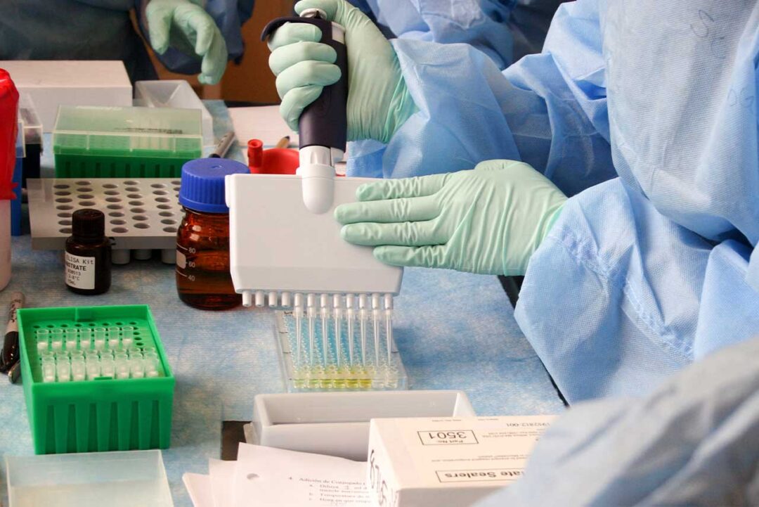 Metabolism Regulation